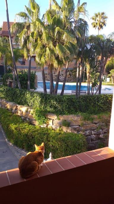 Planta Baja Cerca De La Playa Casares Costa Appartement Buitenkant foto